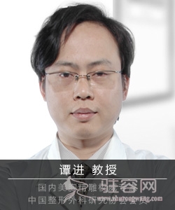 谭进